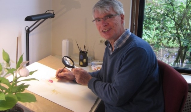 Jan van der Kamp aan het werk in zijn atelier. Voorbeelden zij te zien op www.janvanderkamp.eu/botanisch-tekenen