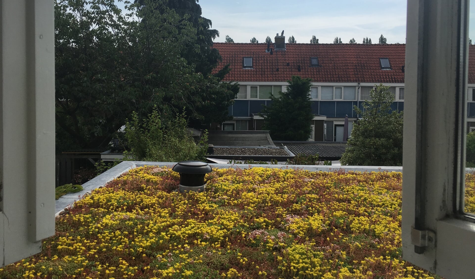 Een groen dak zorgt in de zomer voor verkoeling en dempt geluid.