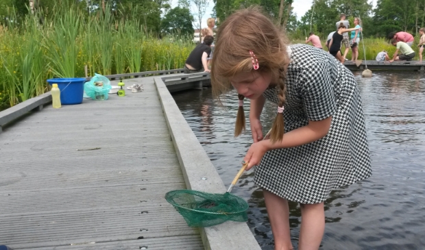 De uiterste datum voor het aanvragen van de subsidie is 30 juni.