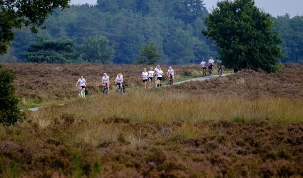 De LEEF Marathon loopt dwars door de Veluwe. 