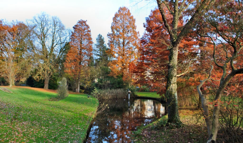 Het park toont nu mooie herfstkleuren.