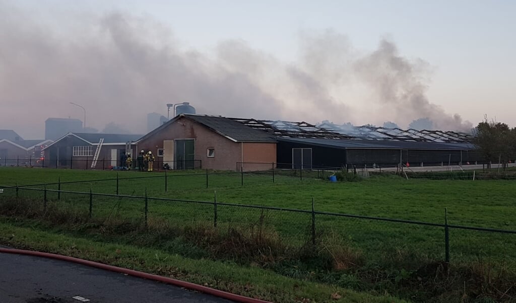De Gelderse SP wil een Gelders actieplan tegen stalbranden. Dit naar aanleiding van de brand zondag in een pluimveestal aan de Scherpenzeelseweg in Barneveld.