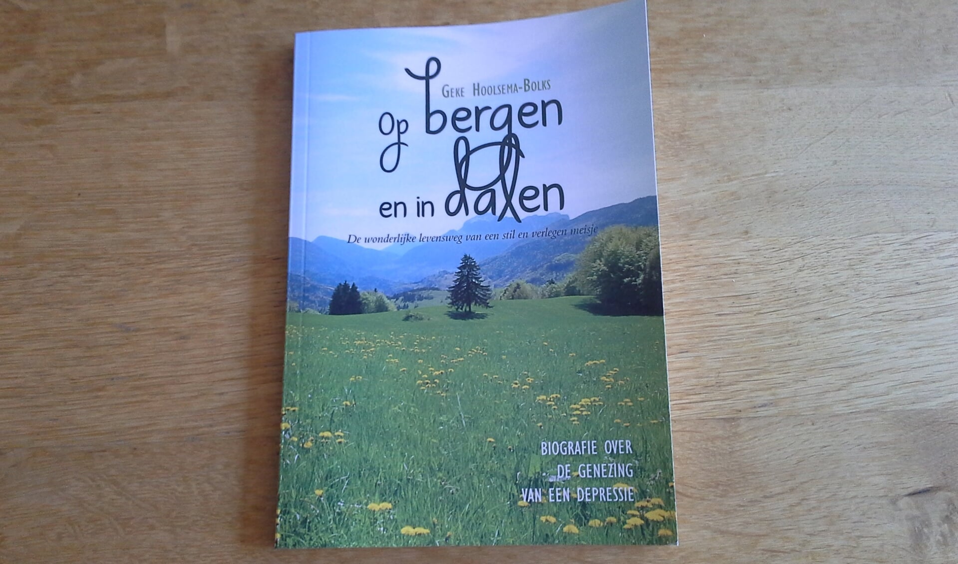Het nieuwe boek van Geke Hoolsema-Bolks