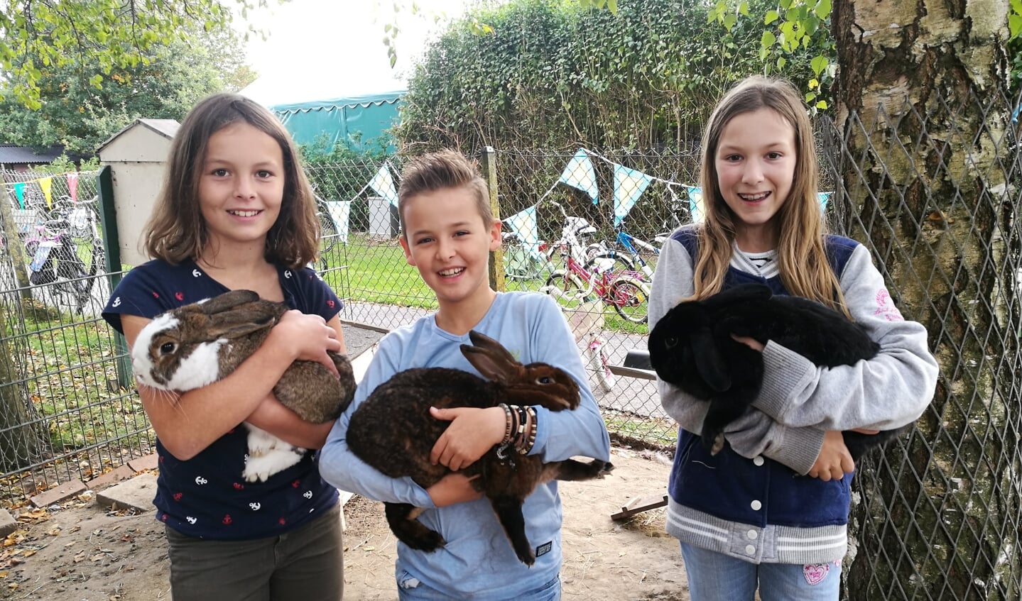 Demi, Raoul en Quinty knuffelen met de konijnen