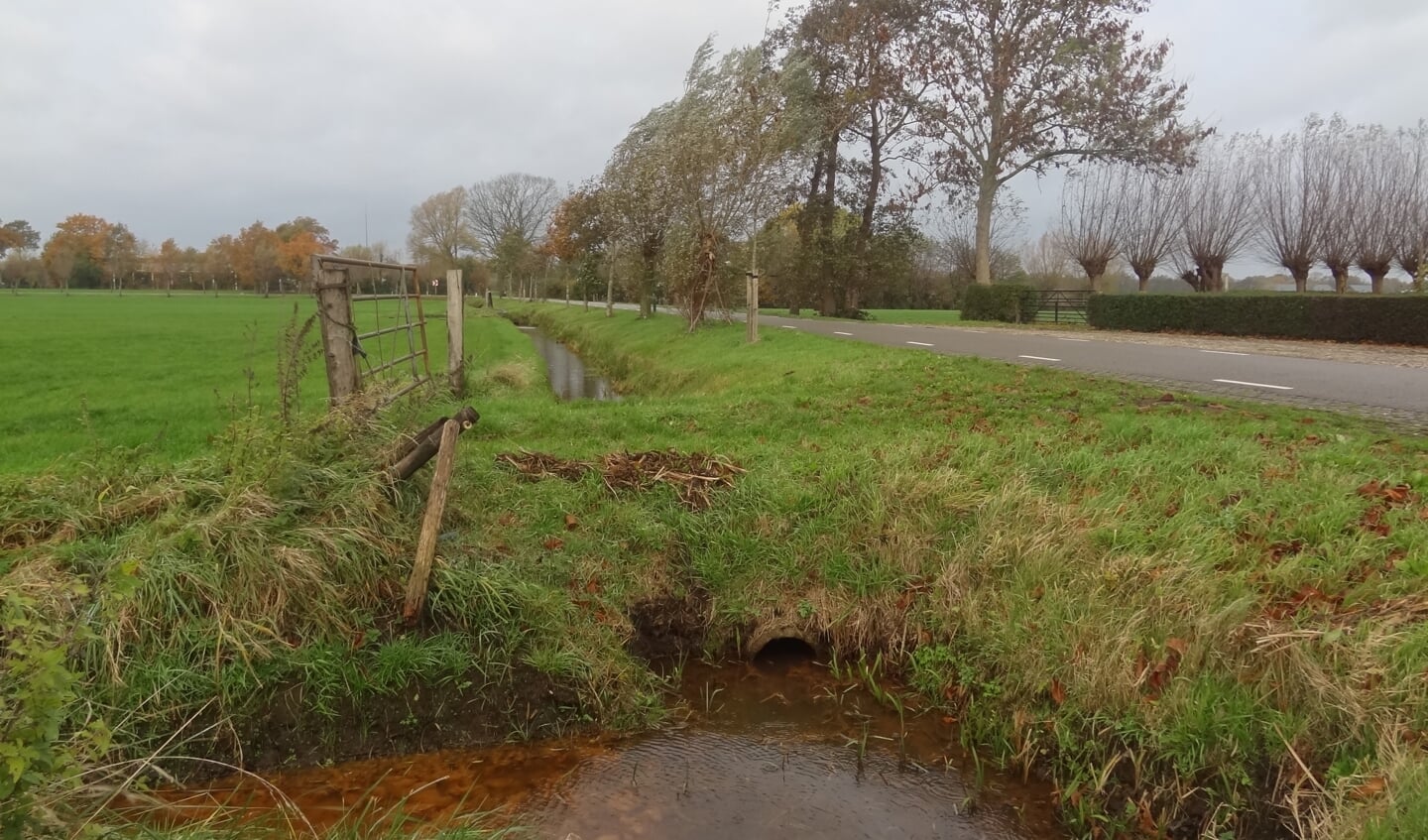 De polder wordt expliciet beschermd in de omgevingsvisie.