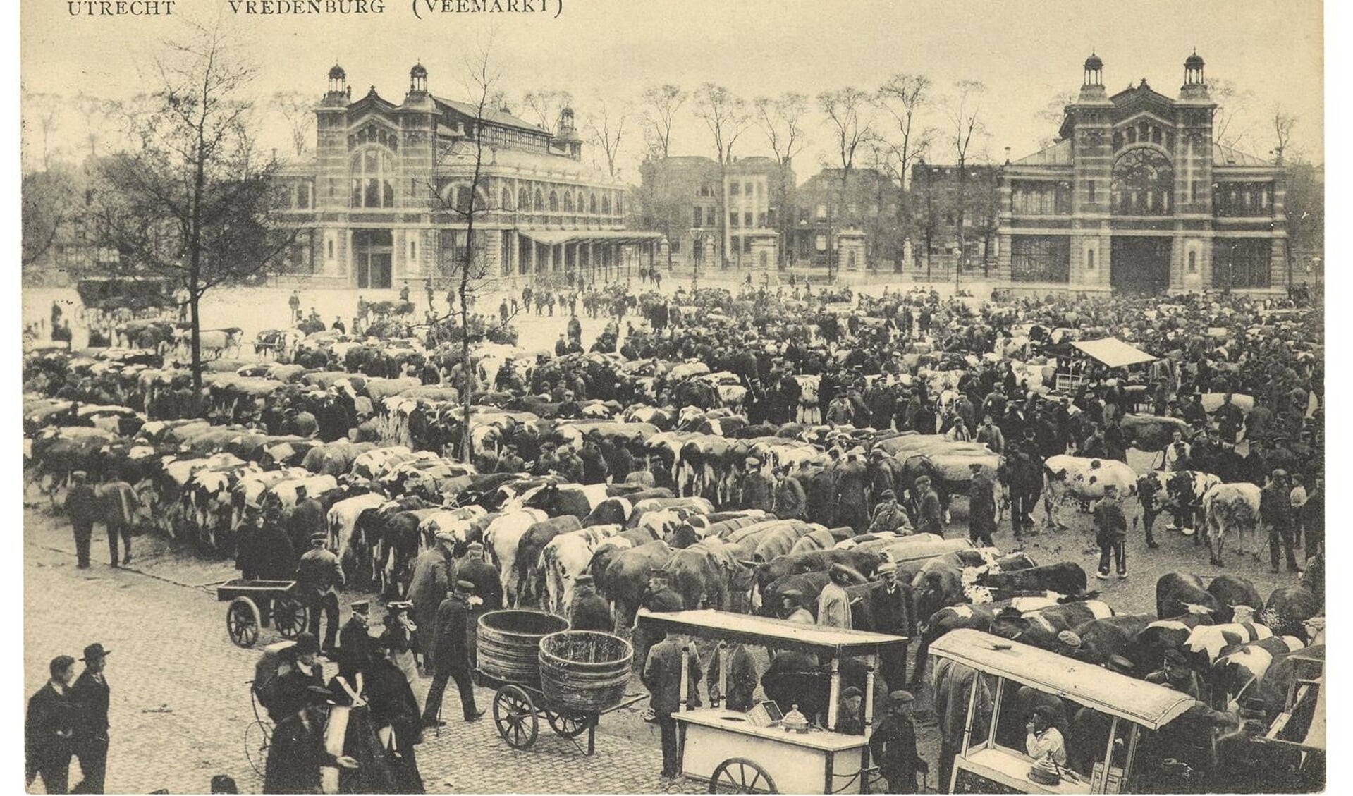 Veemarkt Vredenburg Utrecht (1907)
