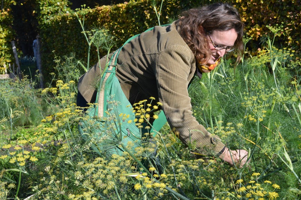 Maria van Maanen bekijkt de dille in de moestuin bij zorgboerderij Makandra. Haar vingers jeuken om haar eigen grond te bewerken.