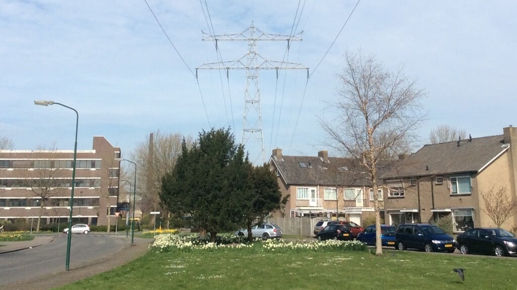 Nog-meer-bomen-behouden-bij-ondergronds-brengen-hoogspanning-in-Veenendaal