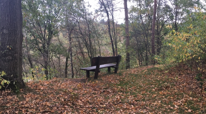 Mind-Walk decemberspecial