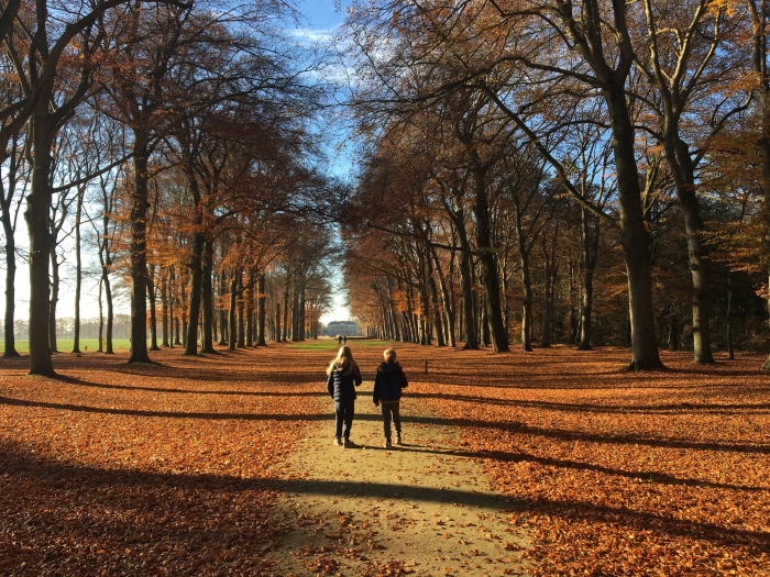 Broekhuizen