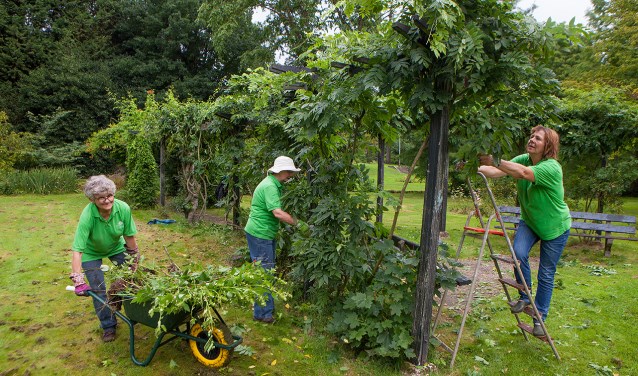 De vrijwilligers in actie in het Cantonspark.