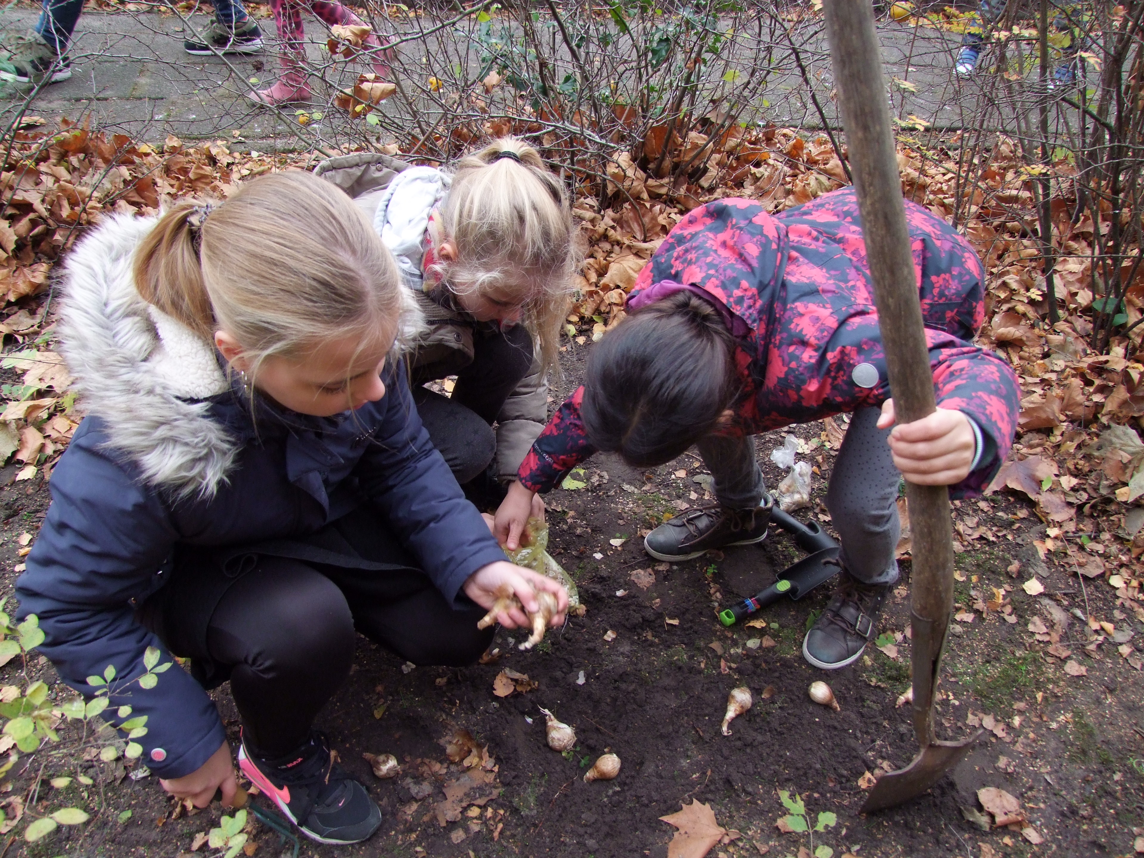 Tessa, Lisanne en Selena planten bloembollen.