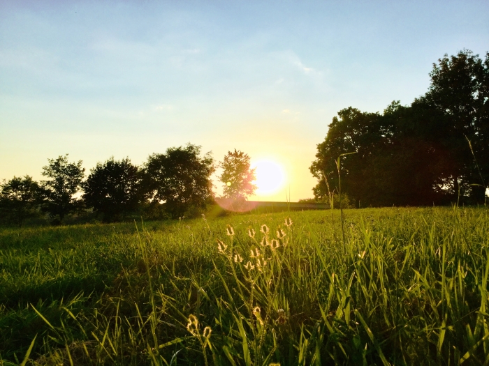 stilte in het licht gezet
