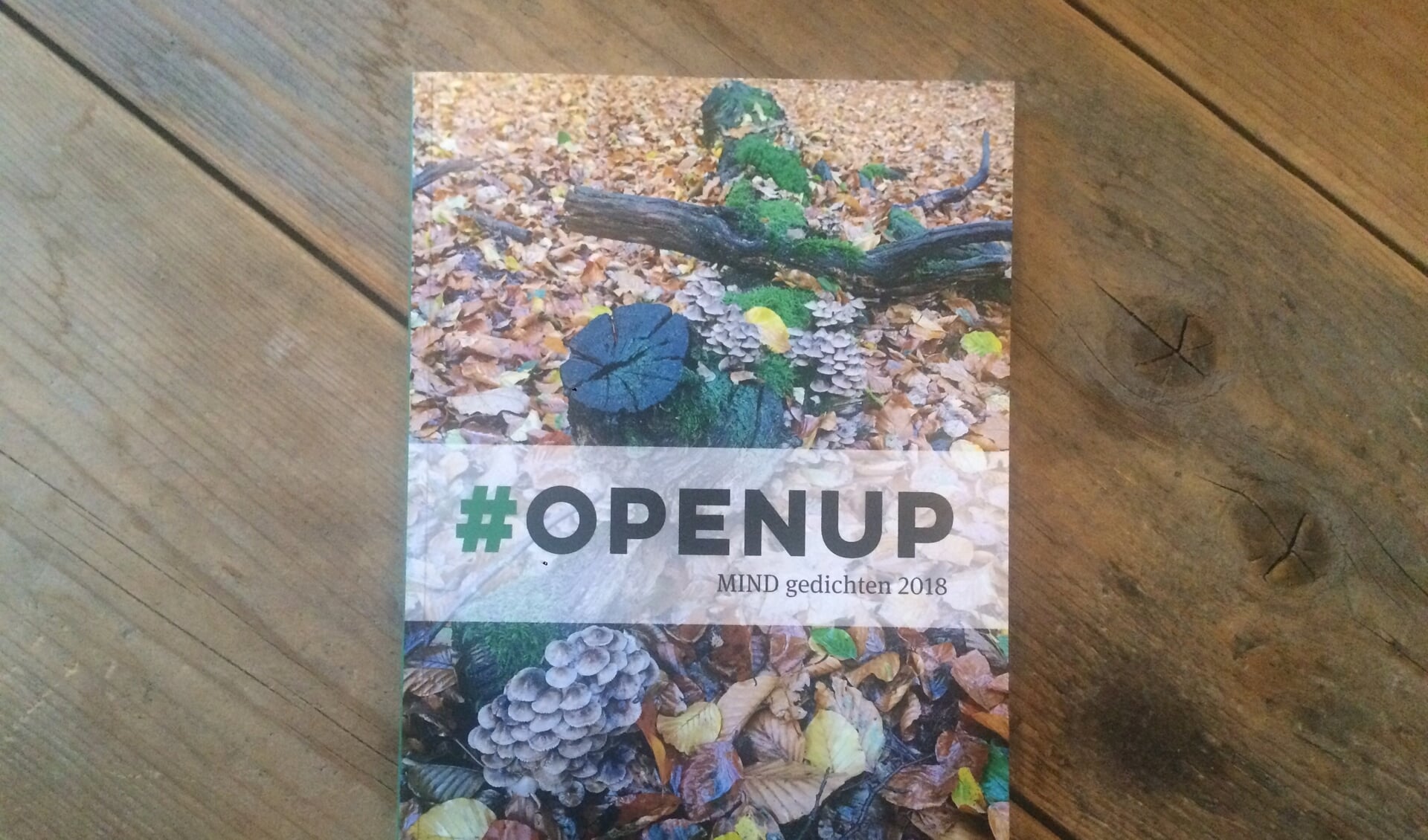 De gedichtenbundel #Openup, uitgegeven door stichting MIND.