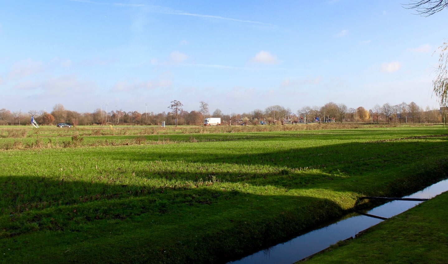 Bouwbedrijf Heijmans wil op het stuk grond, ingeklemd tussen de Maanweg en Van Diepenheim Scheltuslaan, een woonwijk bouwen.