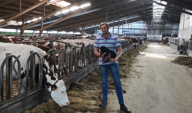 De gemeenteraad komt nog niet met een plan B; Rik Wesseling naar de Raad van State