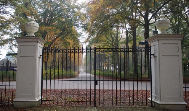 In 2016 leek het er nog op dat de bomen van de Broekhuizerlaan hun laatste herfst meemaakten.