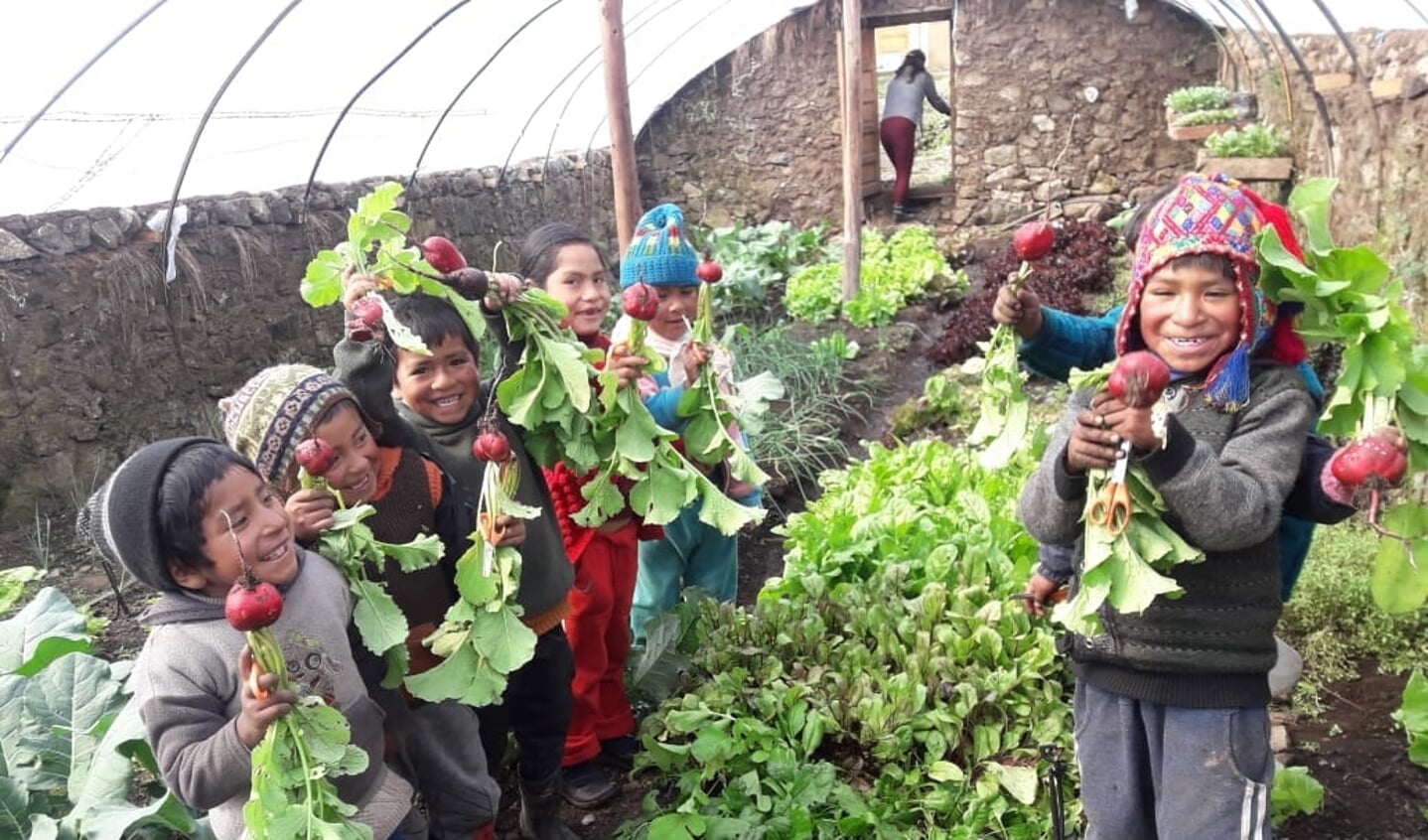 Bij scholen in de Andes legt de stichting van Simone Heemskerk moestuinen aan. Doel: voedselzekerheid voor de allerarmsten in Huyncho en omgeving.