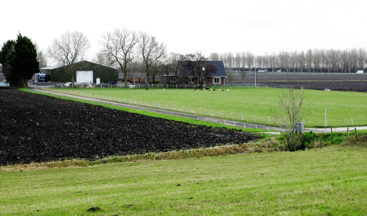 Afbeelding