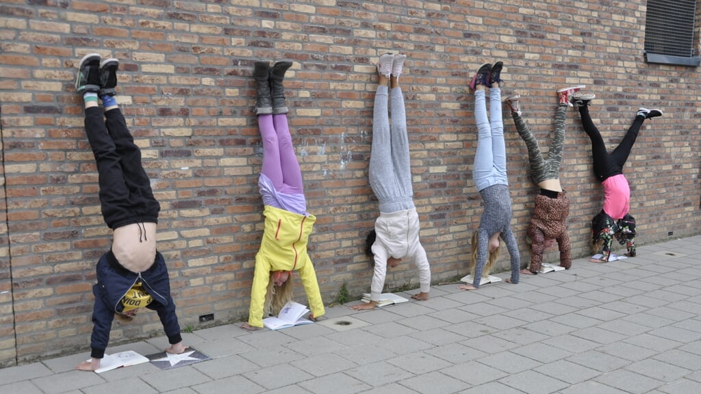 Afbeelding
