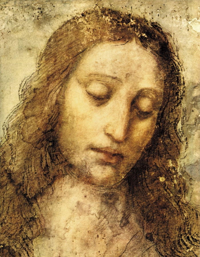 door Leonardo da Vinci