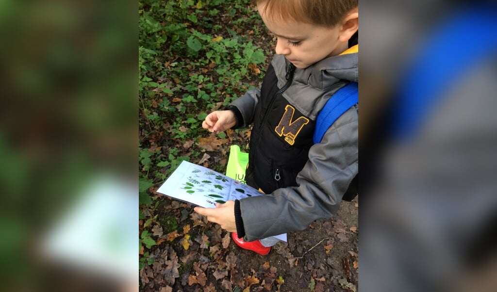 Leren is regelmatig op pad in de natuur