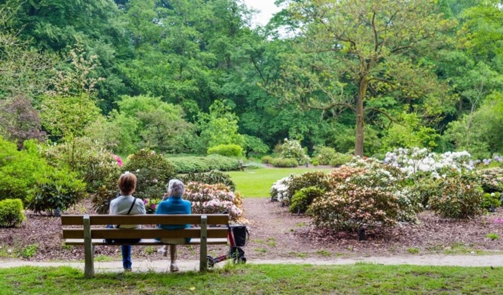 Arboretum Belmonte is een prachtig park met het unieke uitzicht over de Rijn. In 2020 hoopt het park Rijksmonument te worden.