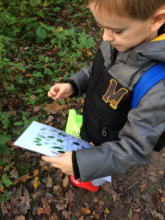 Leren is regelmatig op pad in de natuur