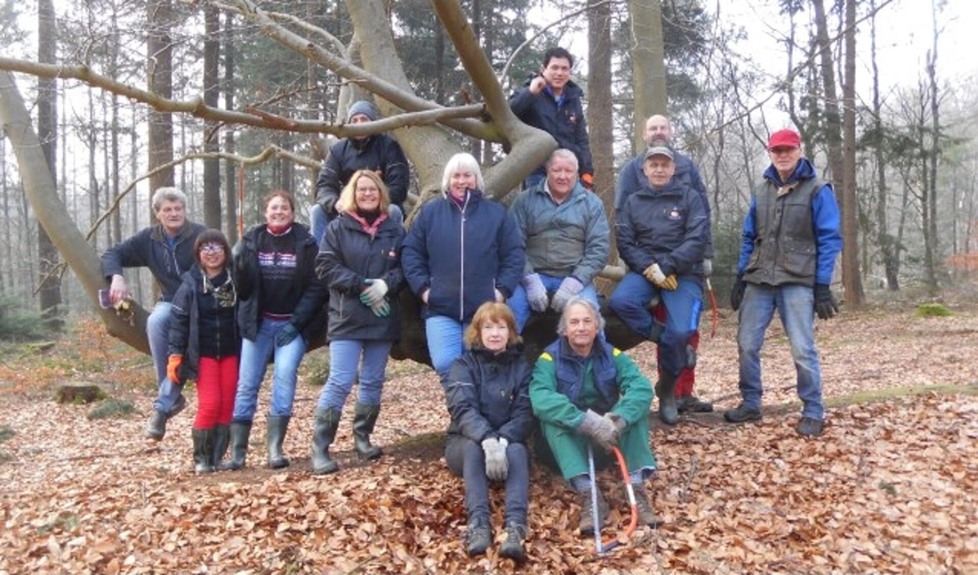 Vrijwilligers van het IVN Veenendaal-Rhenen in het bos van Remmerstein. (Foto: IVN Rhenen/Veenendaal)