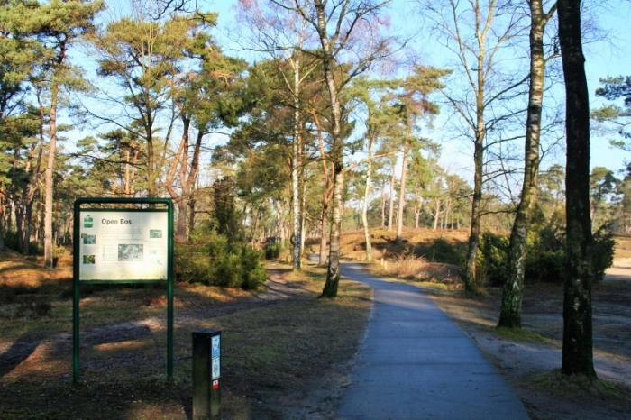foto: Jeroen Visser