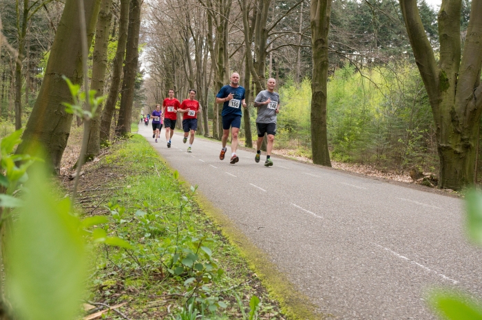 Heuvelrug Loopcircuit: Hardlopen op prachtige locaties op de Utrechtse Heuvelrug