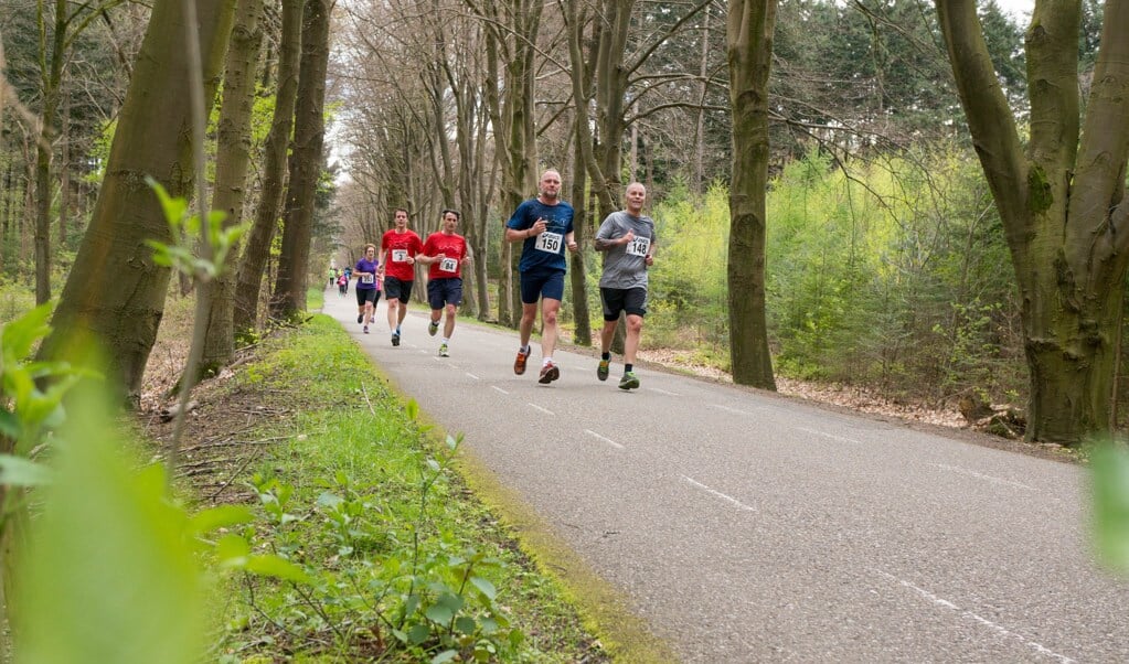 Heuvelrug Loopcircuit: Hardlopen op prachtige locaties op de Utrechtse Heuvelrug