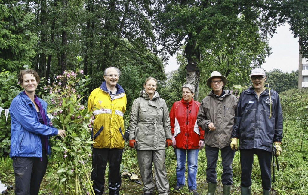 In maart 2014 richt een aantal stadsbewoners stichting Elisabeth Groen op.