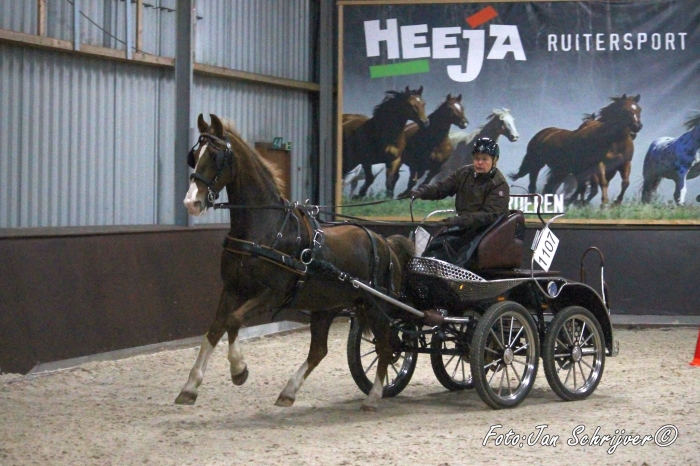 Petra de Graaf met haar paard Maranga in actie