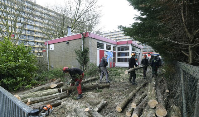 Bomenkap nabij rouwcentrum