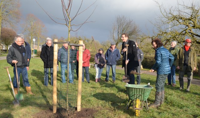 De boompjes worden geplant