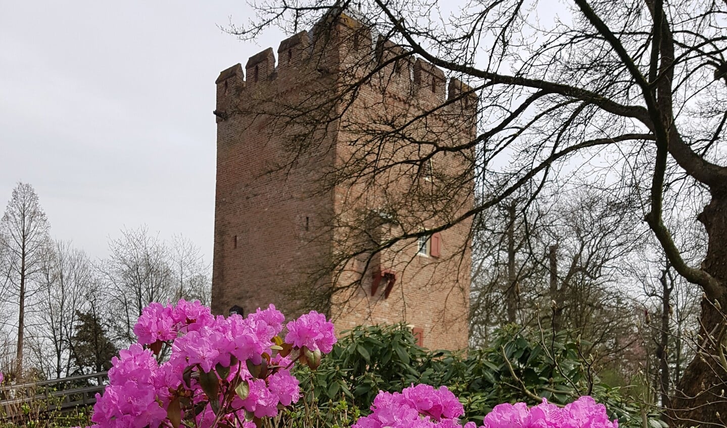 Toren Kasteel Lunenburg
