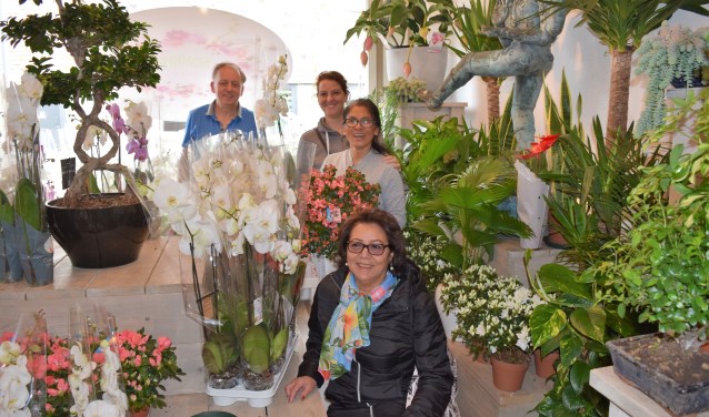 Somkido Bloemen en Planten is voordelig en levert kwaliteit.