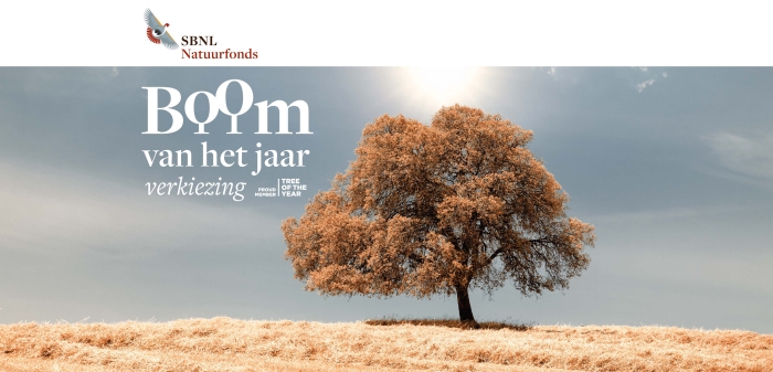 De Boom van het Jaar Verkiezing
