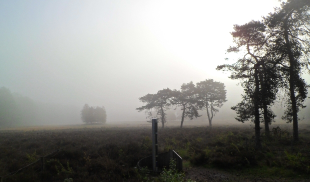 Vroege ochtendsfeer
