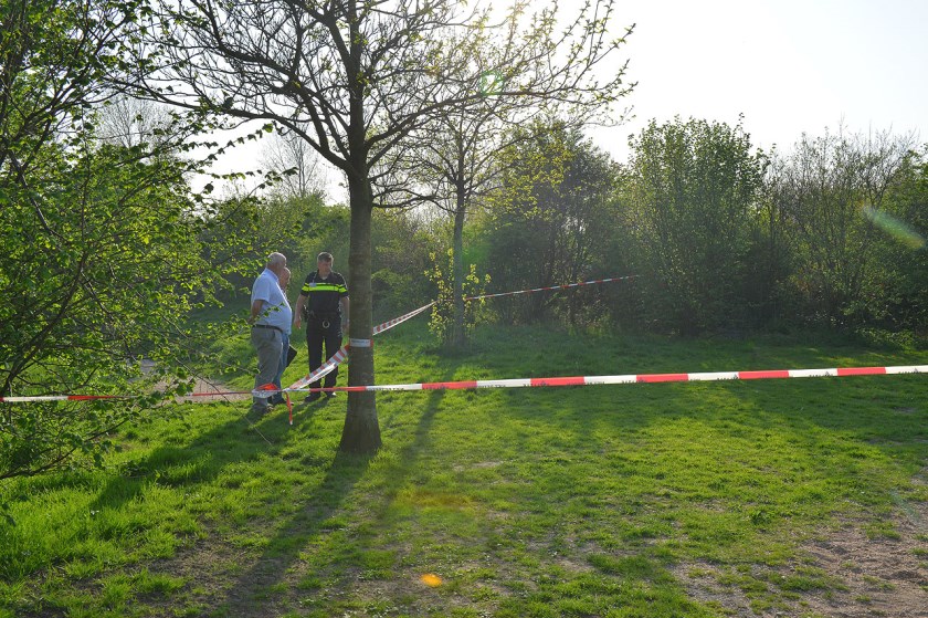 Afbeelding