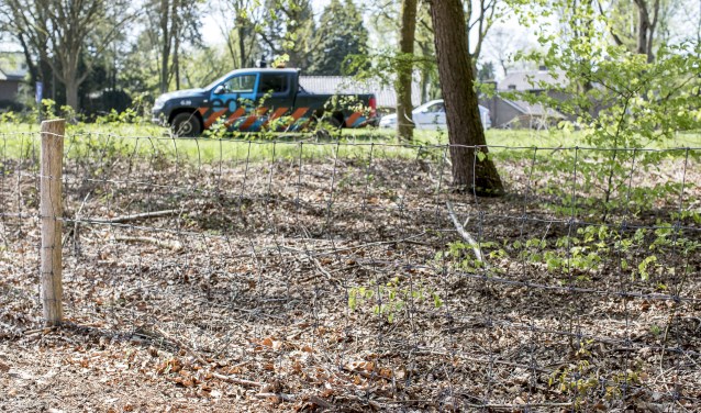 De dieren sprongen over een raster van 1.20 meter hoog