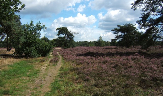 Natuurgebied De Zanding wordt niet afgesloten.