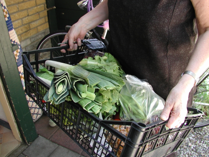 Verse groenten te koop