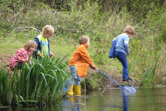 speuren naar waterdiertjes