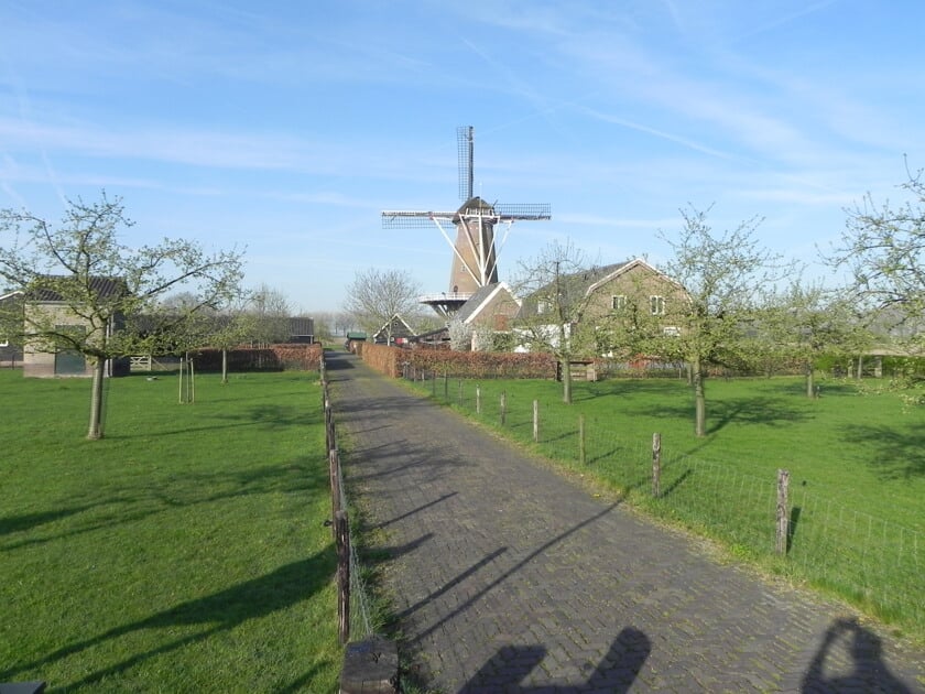 De molen in Werkhoven.