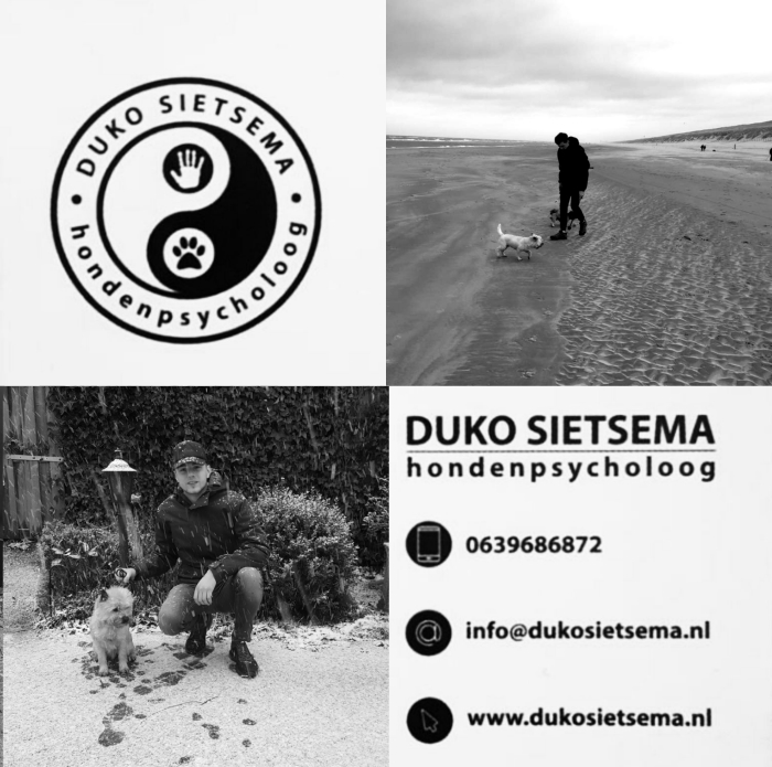 Hondenpsycholoog