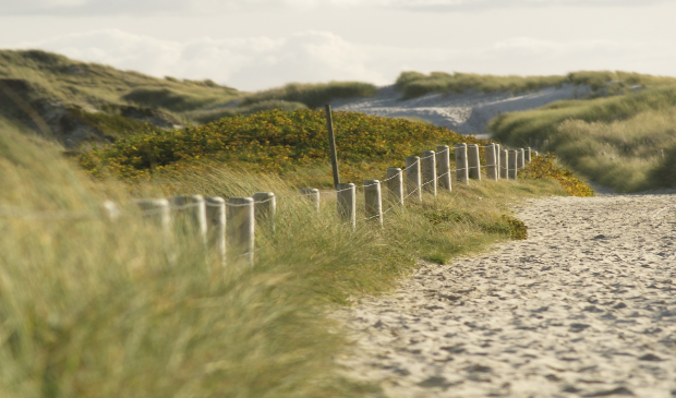 <p>'Duinen verhogen, dijken versterken' kozen de kinderen bij de Kinderklimaattop als het belangrijkste onderwerp om klimaatverandering tegen te gaan.</p>