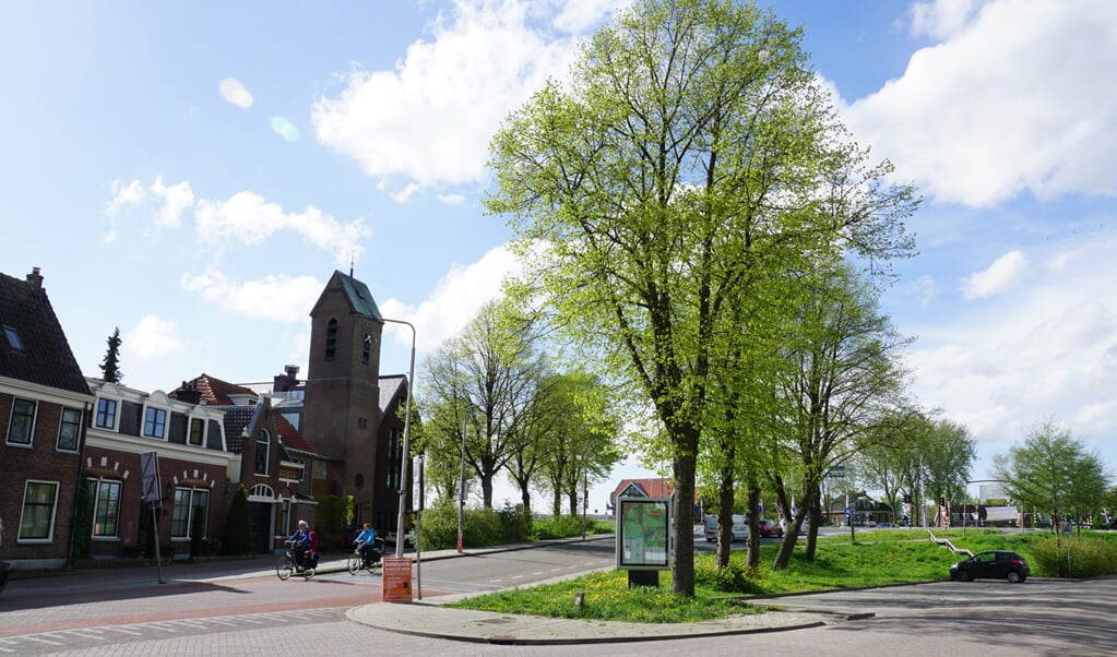 De bomen voor de snoeiwerkzaamheden en het ophangen van de lintjes.