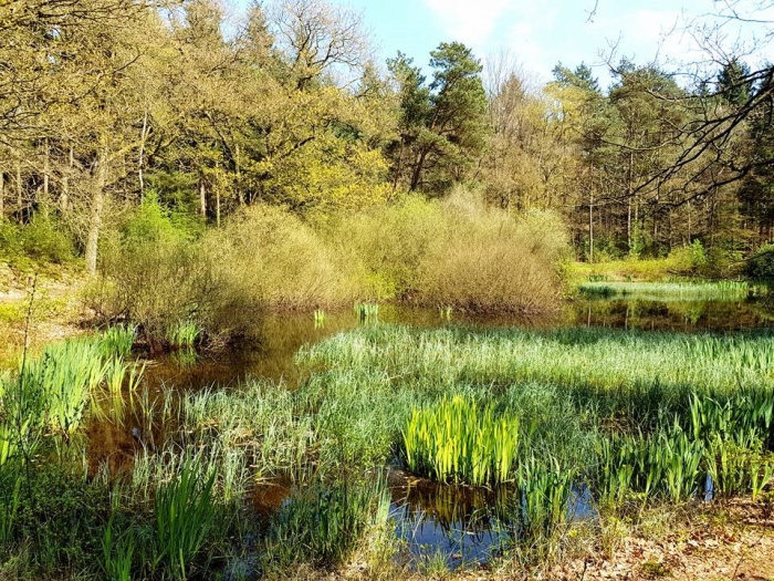 landschap langs de route